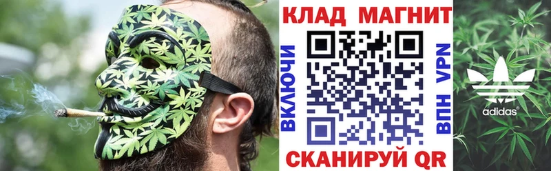 Купить закладку Новомичуринск Галлюциногенные грибы  МЕФ  Каннабис 