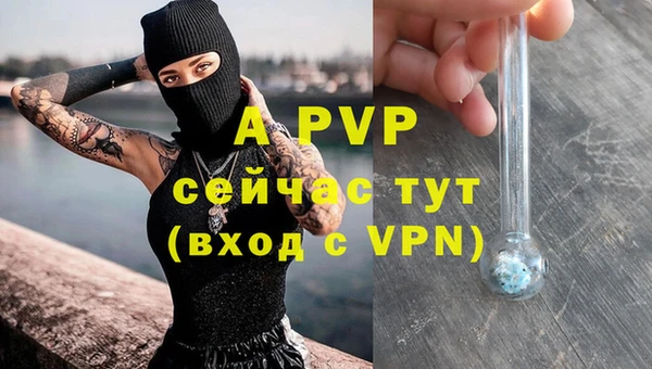 гидра Весьегонск