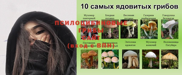 шишки Нефтекумск