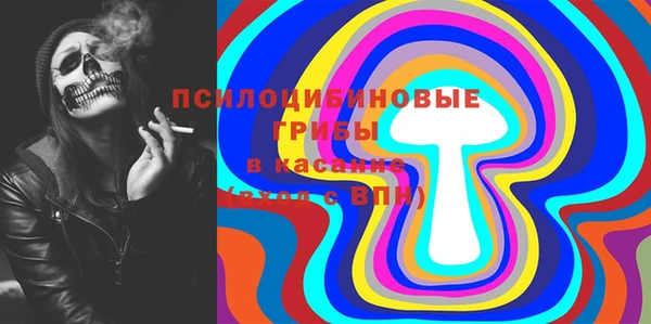PSILOCYBIN Нея
