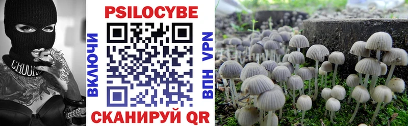 ссылка на мегу онион  Новомичуринск  Галлюциногенные грибы Magic Shrooms 